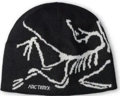 Arcteryx Beanie — USFans Spreadsheet photo