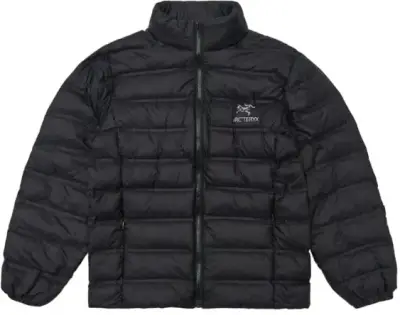 Arc'teryx Down Jacket — USFans Spreadsheet photo