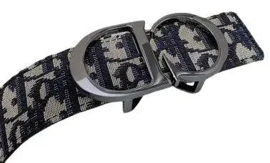 Best Batch for Dior Belt — USFans Spreadsheet photo