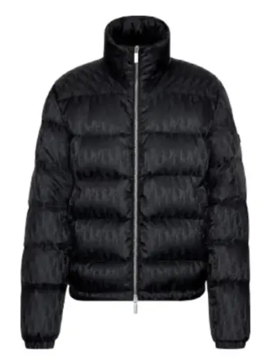 Dior Oblique Down Jacket Padding — USFans Spreadsheet photo