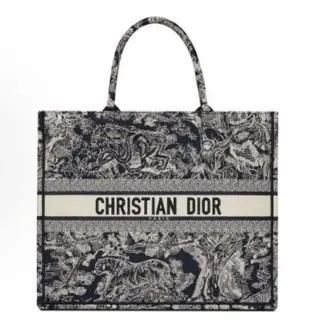 Dior Tote — USFans Spreadsheet photo 1