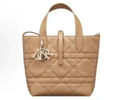 Dior Toujours Bag — USFans Spreadsheet photo