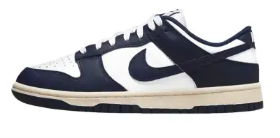 Dunk SB Black Powder Shoes — USFans Spreadsheet photo
