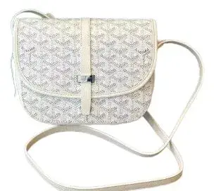 Goyard Bag — USFans Spreadsheet photo