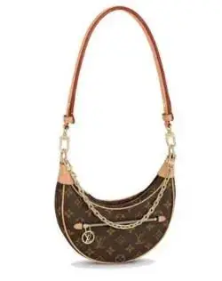 Louis Vuitton Loop Bag — USFans Spreadsheet photo