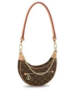Louis Vuitton Loop Bag — USFans Spreadsheet photo 1