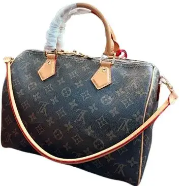 LV Speedy Traveling Bag — USFans Spreadsheet photo