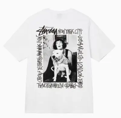 Stussy tee(100 colorways) — USFans Spreadsheet photo