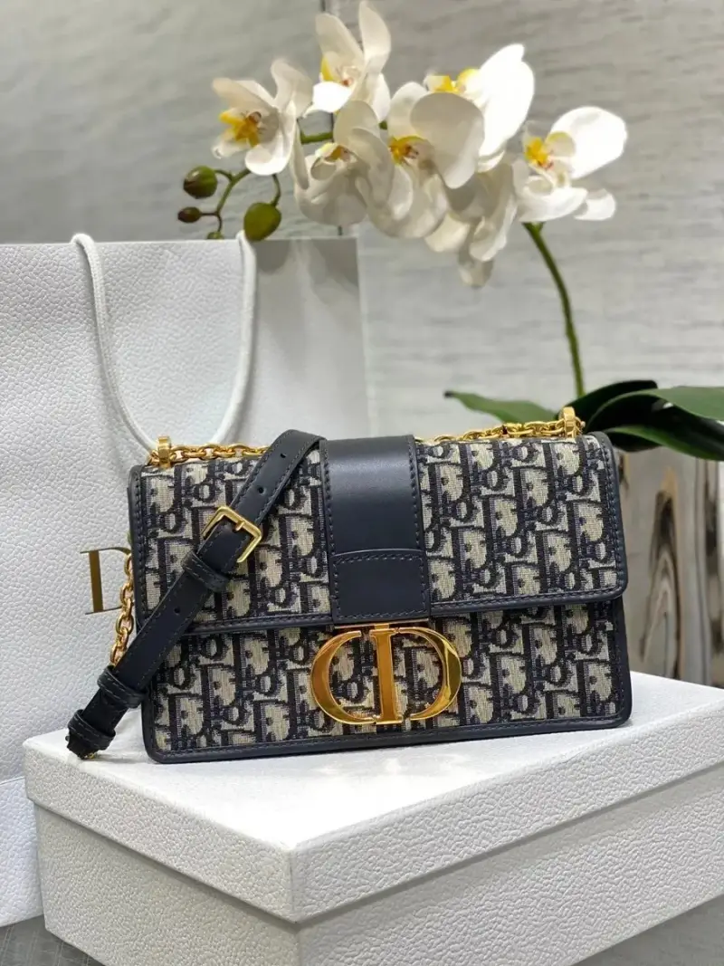 Dior 30 Montaigne Oblique — Large chain terms 25*16.5*8cm colorway — USFans Spreadsheet photo