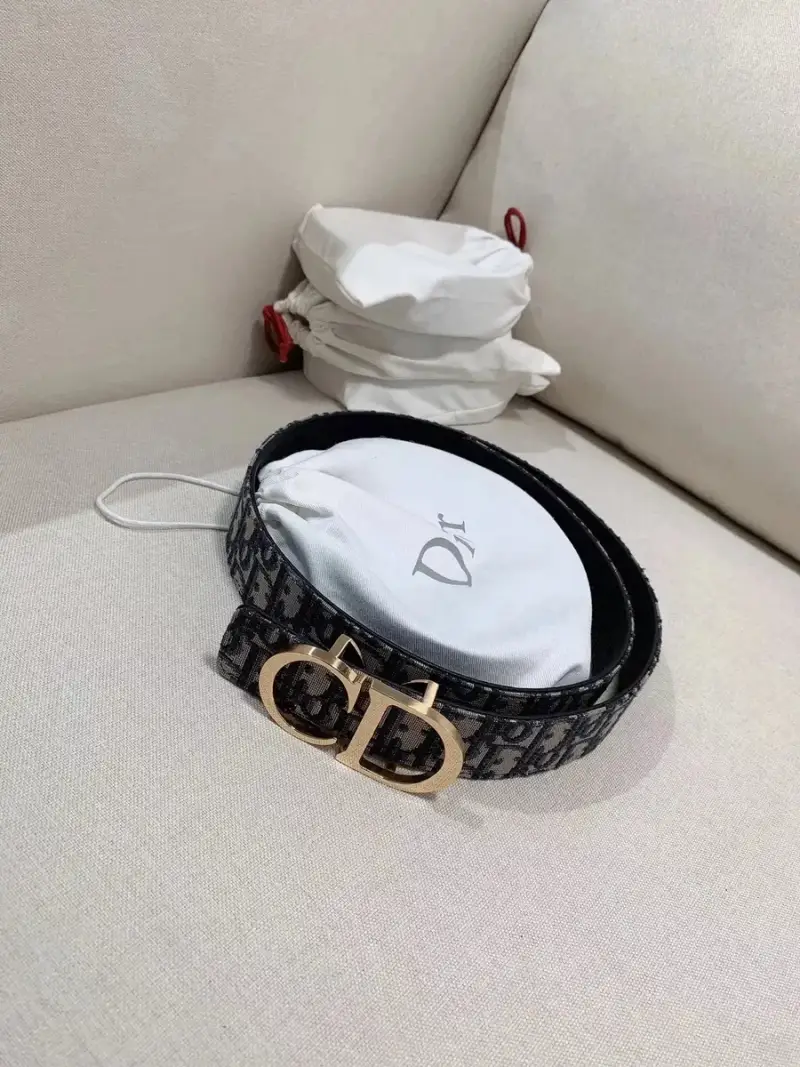 Best Batch for Dior Belt — Section 2 colorway — USFans Spreadsheet photo