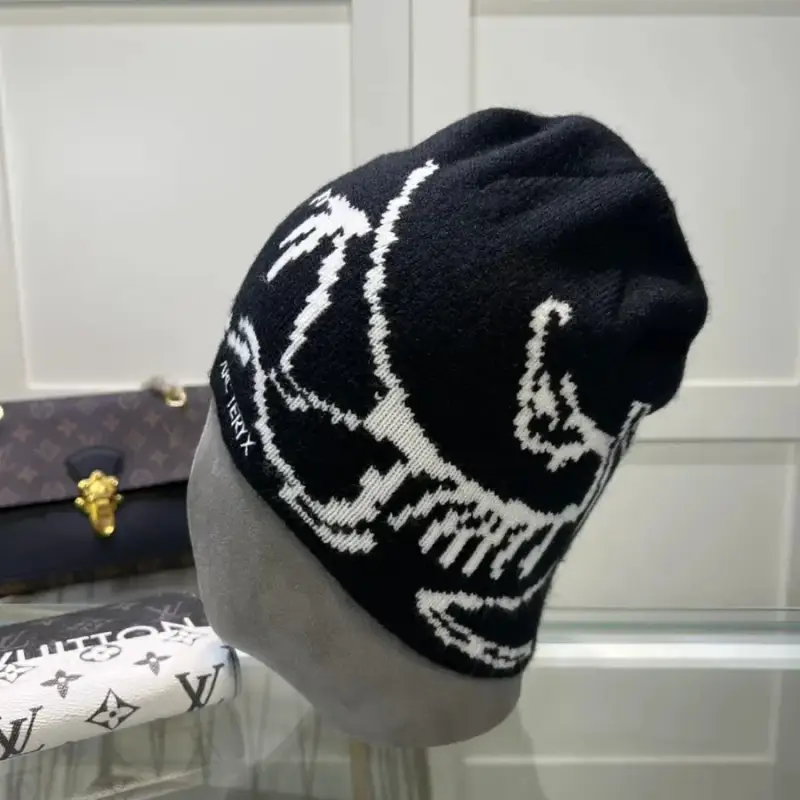 Arcteryx Beanie — S1 colorway — USFans Spreadsheet photo