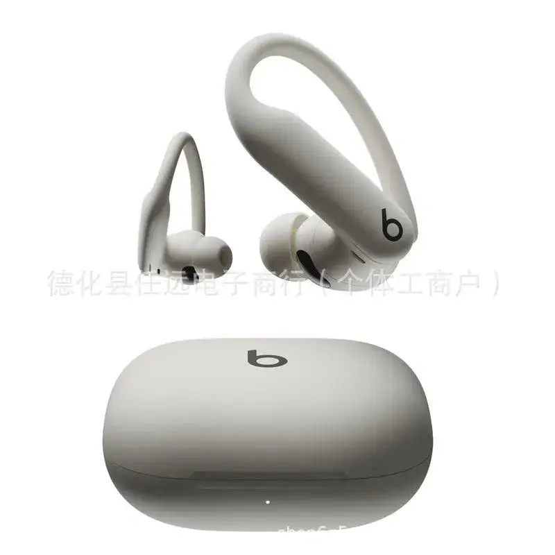 Beats Powerbeats Pro 2 — Elegant gray colorway — USFans Spreadsheet photo