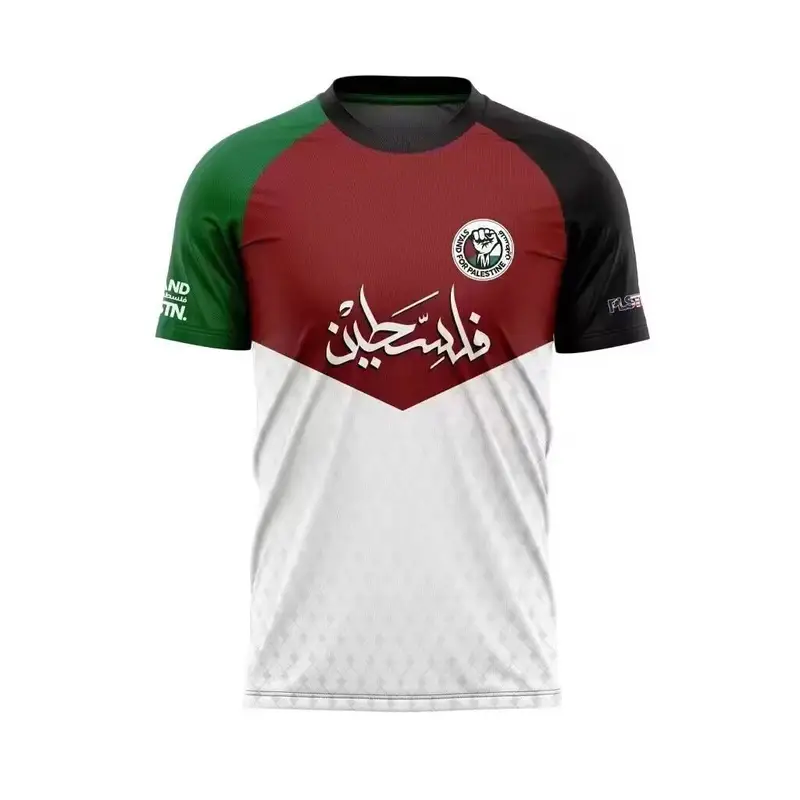 Palestine Jersey — Palestinian translation of the western i colorway — Kakobuy Spreadsheet photo