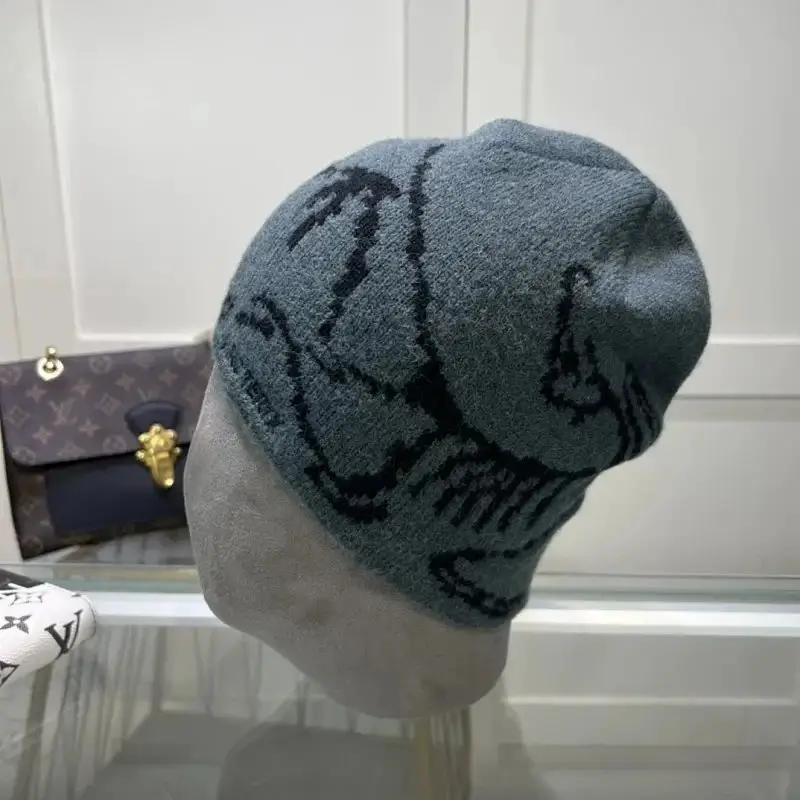 Arcteryx Beanie — S8 colorway — USFans Spreadsheet photo