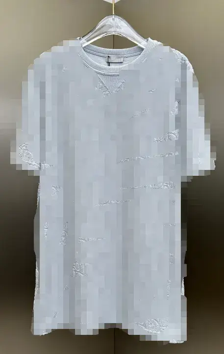 Dior Towel T-Shirt — light gray colorway — USFans Spreadsheet photo