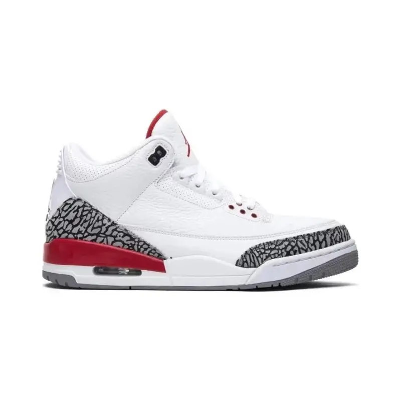 Jordan 3 Black Cat — Hall of Fame colorway — USFans Spreadsheet photo
