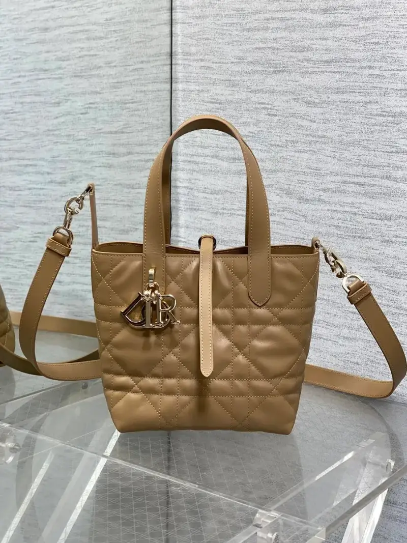 Dior Toujours Bag — Bronze color colorway — USFans Spreadsheet photo