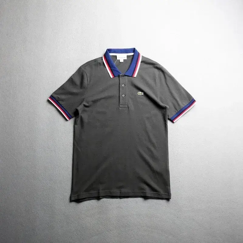 Lacoste Polo — iron gray colorway — USFans Spreadsheet photo