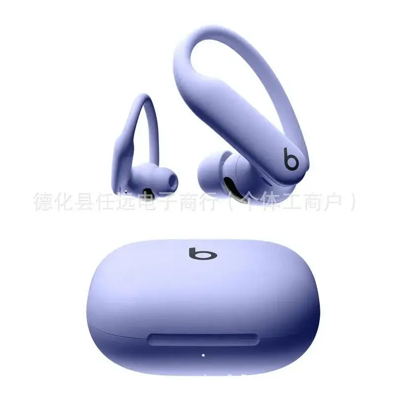 Beats Powerbeats Pro 2 — Mysterious Purple colorway — USFans Spreadsheet photo