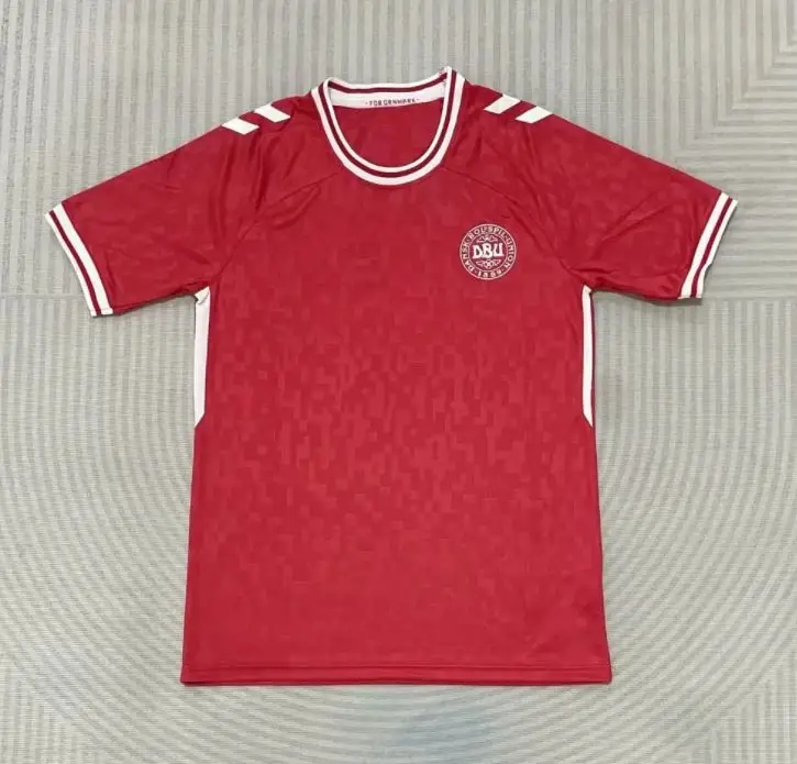 Jersey — 24/25 Denmark colorway — USFans Spreadsheet photo