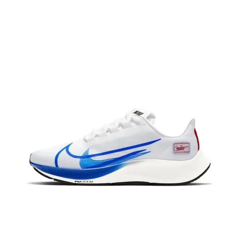 Nike Pegasus 37 — Pegasus 37-White Blue colorway — USFans Spreadsheet photo