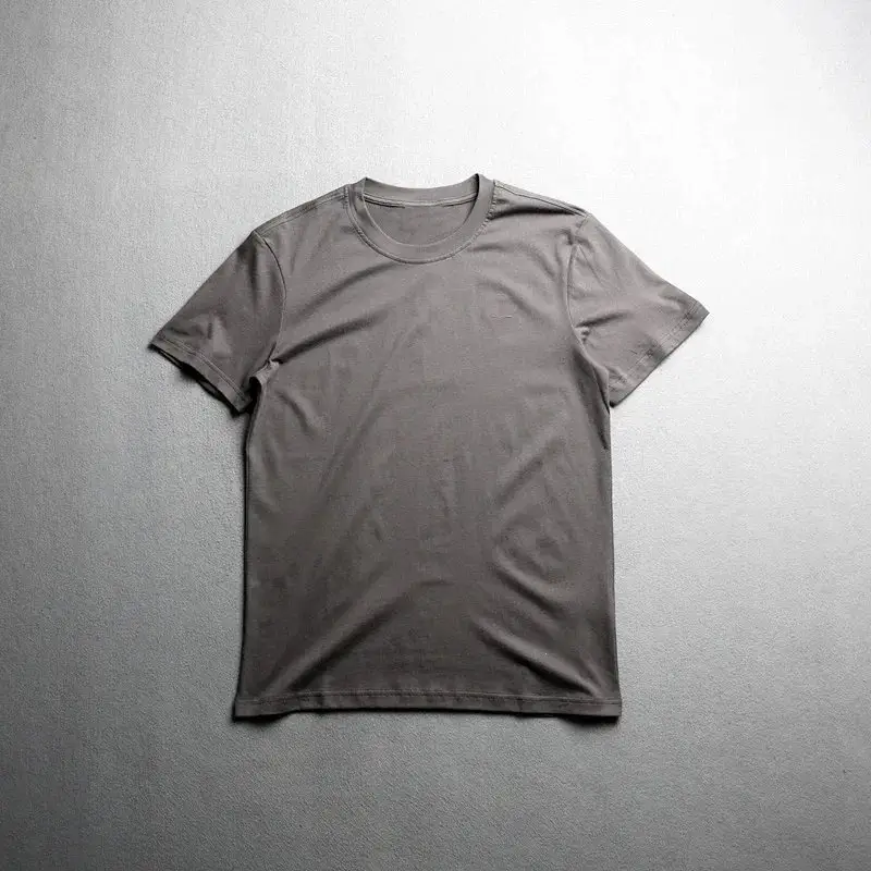 Lacoste T-Shirt — iron gray colorway — USFans Spreadsheet photo