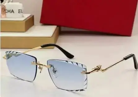 Prada Sunglasses — Paragraph 3 as shown in Figure 3 colorway — USFans Spreadsheet photo