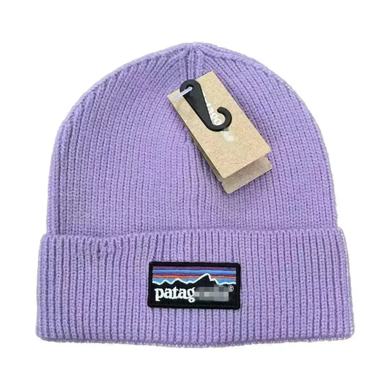 Patagonia Beanie — purple colorway — USFans Spreadsheet photo