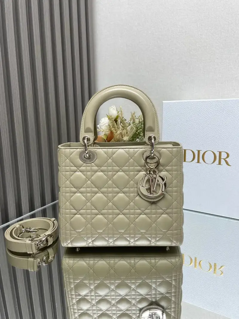 Lady Dior Bag — 5 colorway — USFans Spreadsheet photo