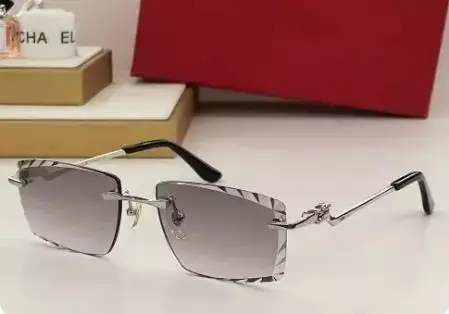 Prada Sunglasses — Paragraph 3 as shown in Figure 6 colorway — USFans Spreadsheet photo