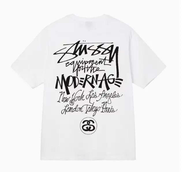 Stussy tee(100 colorways) — 08 colorway — USFans Spreadsheet photo
