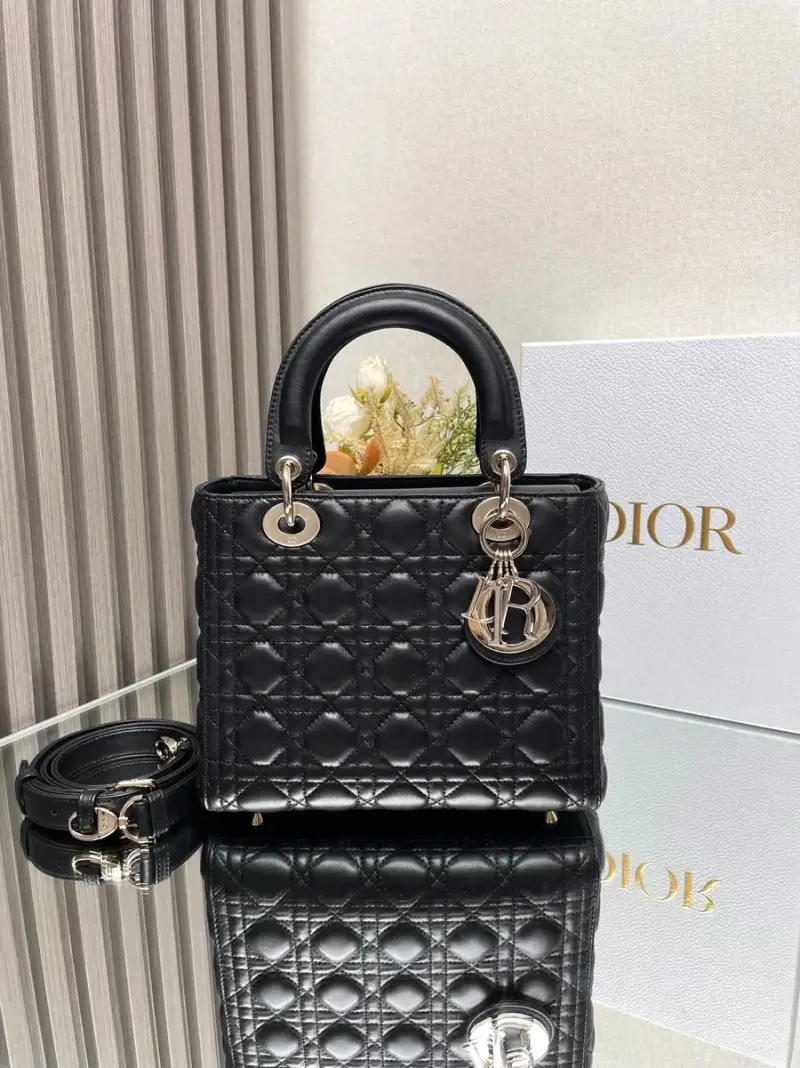 Lady Dior Bag — 1 colorway — USFans Spreadsheet photo
