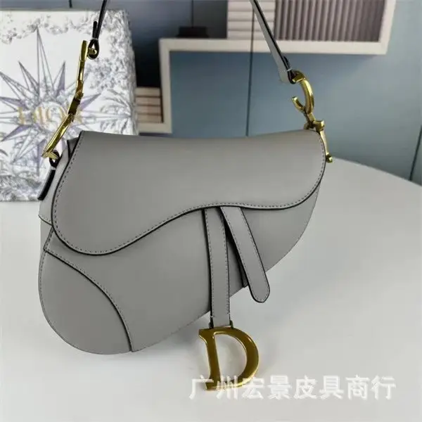 DIOR Saddle — plain gray colorway — USFans Spreadsheet photo
