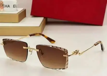 Prada Sunglasses — Paragraph 3 as shown in Figure 5 colorway — USFans Spreadsheet photo