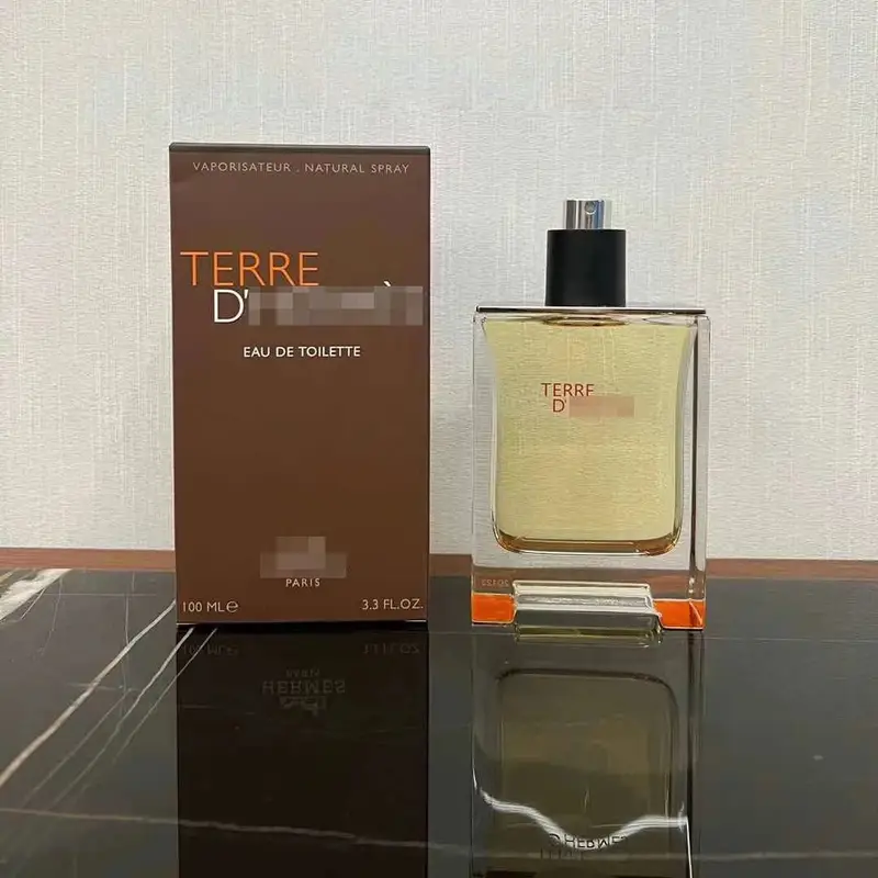 Hermes Terre d'Hermes Eau de Toilette — P Earth 100ml colorway — USFans Spreadsheet photo