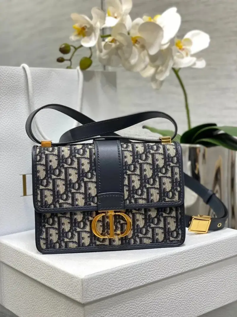 Dior 30 Montaigne Oblique — Large leather shoulder strap 24*17*8cm colorway — USFans Spreadsheet photo
