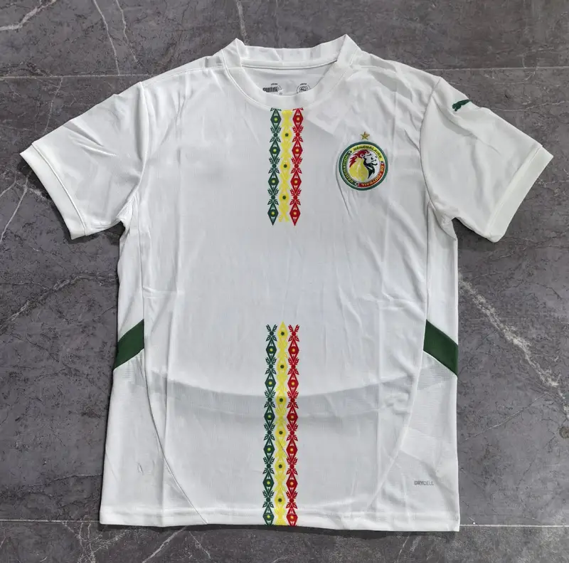 Poland Jersey 2024 (Player) — 24-25 Senegal at home colorway — USFans Spreadsheet photo
