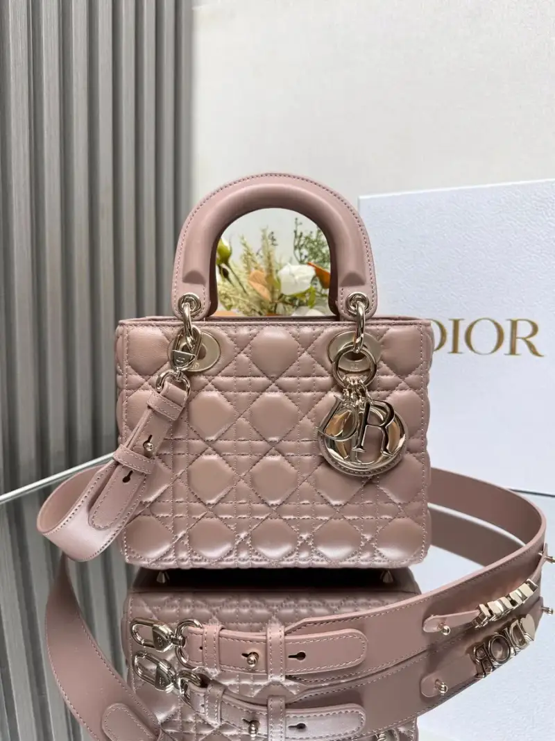 Lady Dior Bag — 3 colorway — USFans Spreadsheet photo