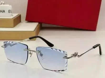 Prada Sunglasses — Paragraph 3 as shown in Figure 1 colorway — USFans Spreadsheet photo