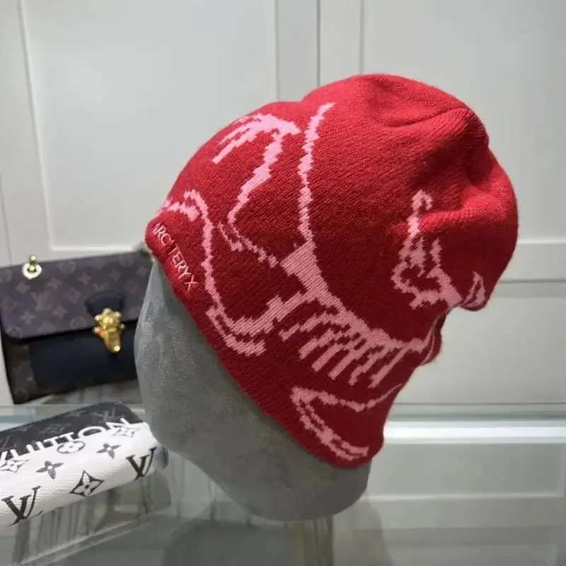 Arcteryx Beanie — S3 colorway — USFans Spreadsheet photo