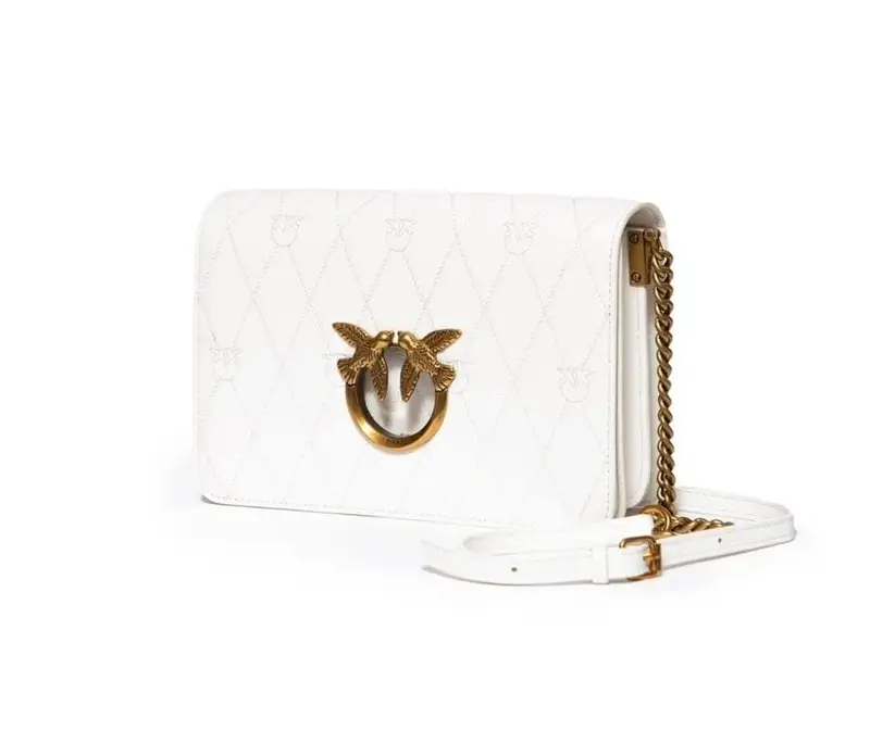 Pinko Bag — embroidery thread hollow classic white trumpet colorway — USFans Spreadsheet photo