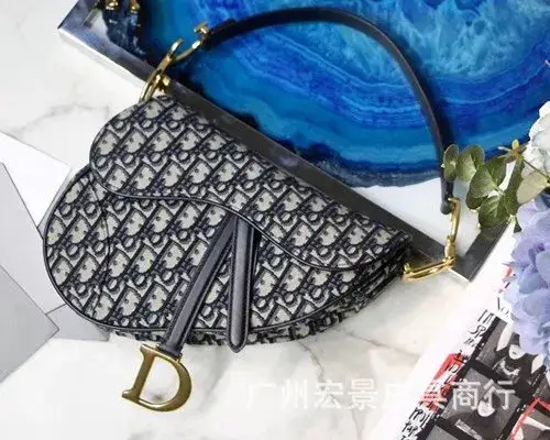 DIOR Saddle — presbydered embroidered canvas colorway — USFans Spreadsheet photo