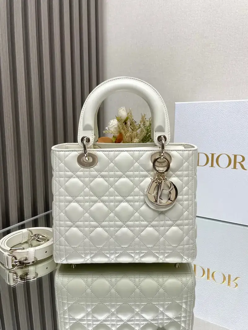 Lady Dior Bag — 6 colorway — USFans Spreadsheet photo