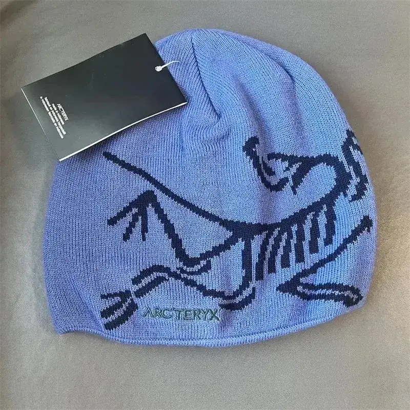 Arc'teryx Thick Beanie — As shown in Figure 1 colorway — USFans Spreadsheet photo