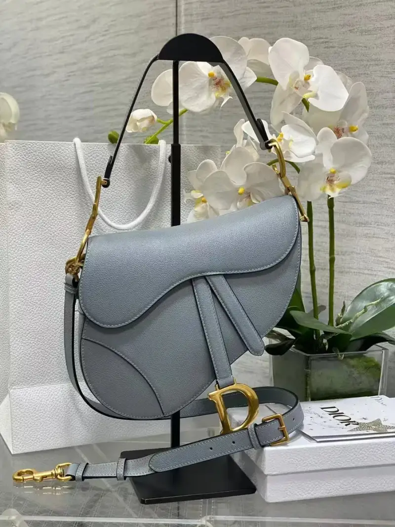 Dior Saddle Bag — Haze Blue 24 × 6 × 18cm colorway — USFans Spreadsheet photo