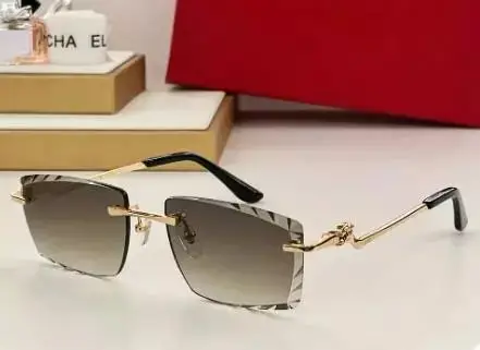 Prada Sunglasses — Paragraph 3 as shown in Figure 2 colorway — USFans Spreadsheet photo