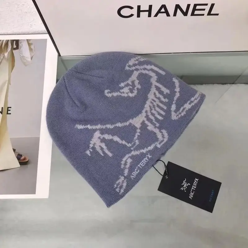 Arc'teryx Thick Beanie — As shown in Figure 6 colorway — USFans Spreadsheet photo