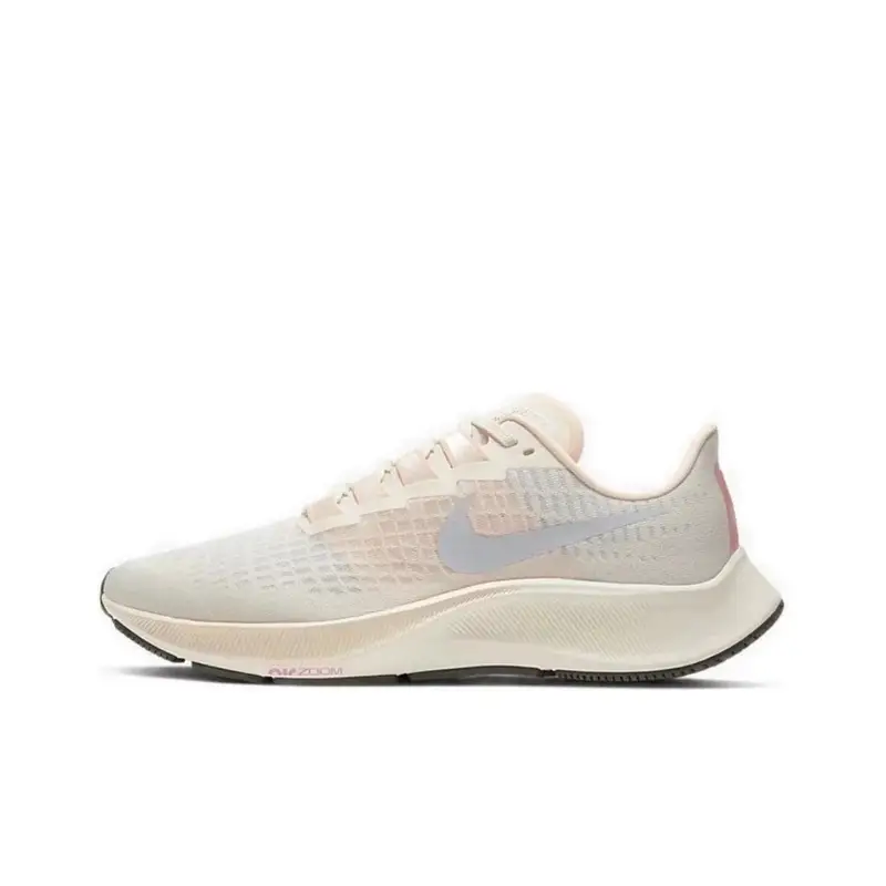Nike Pegasus 37 — Pegasus 37-Grey Powder colorway — USFans Spreadsheet photo