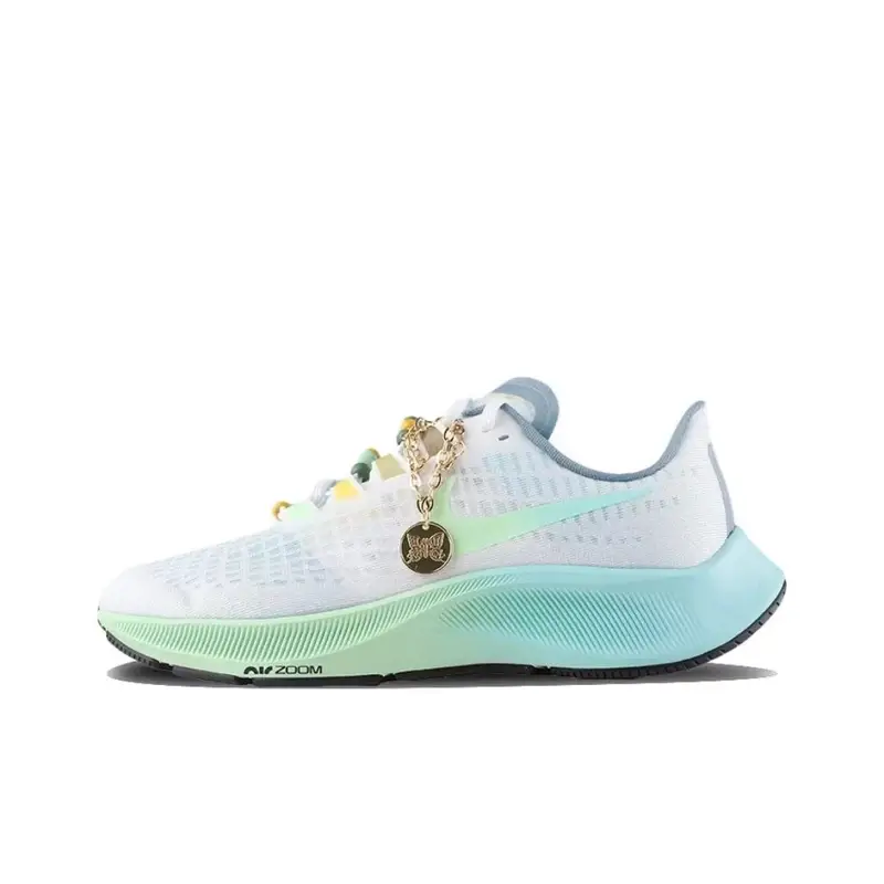 Nike Pegasus 37 — Pegasus 37-Blue-Green colorway — USFans Spreadsheet photo