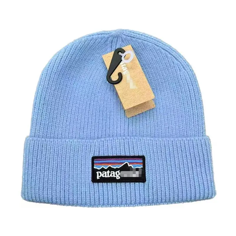 Patagonia Beanie — wathet colorway — USFans Spreadsheet photo